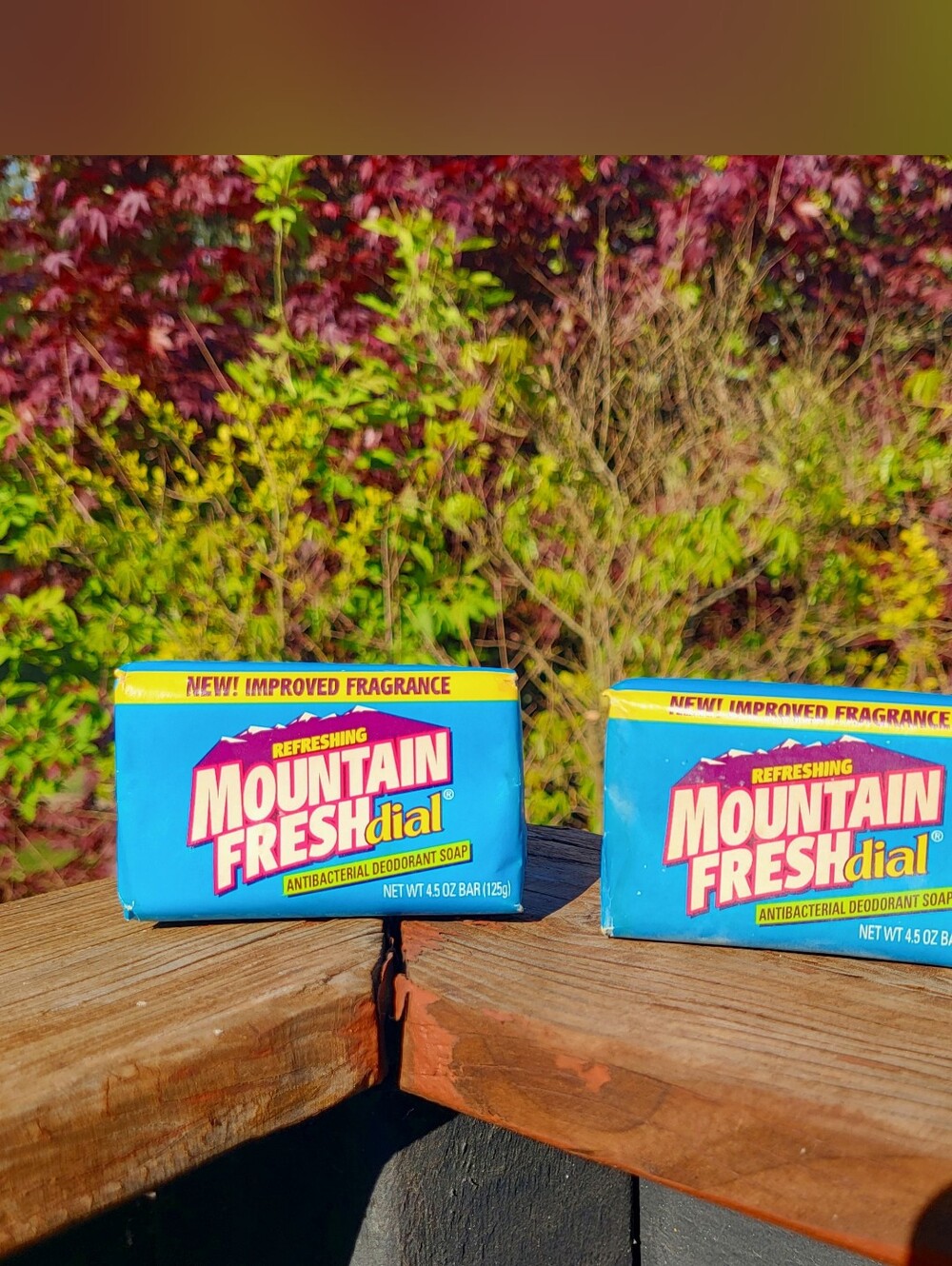 Vintage 1990’s Refreshing Mountain Fresh Dial Antibacterial Soap NOS 2 Bars